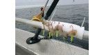 Eisele Rotbarsch Zielfischsystem